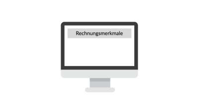 Grafik: Rechnungsmerkmale